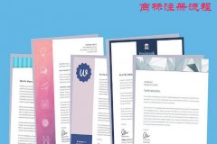 企业申请商标注册的基本流程和费用是多少?