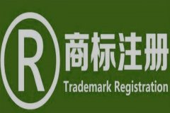 商标申请撤三需要注意什么，具体有哪些内容？