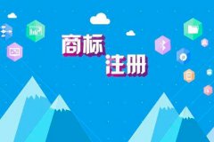 申请商标异议需要什么东西？