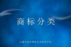 注册商标应该怎么分类，类似商品和服务区分表是什么?