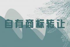 商标代理机构介绍商标转让和商标变更的主要不同