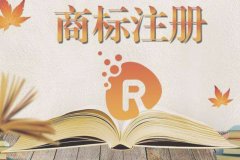 商标是自己注册好，还是找代理机构注册好?