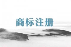 【商标注册】商标注册成功受那些因素的影响