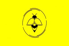 商标注册撤销是三年不使用撤销吗?
