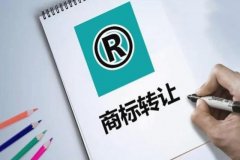 申请注册的商标成功后还需要注意什么吗?