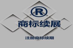 商标注册查询结果应该怎么进行评估