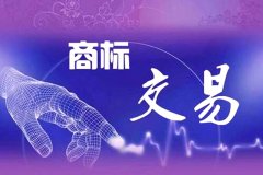 商标注册时需要考虑的主要问题