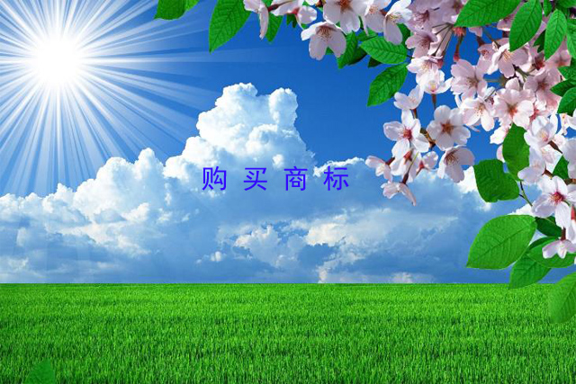 购买商标的优势