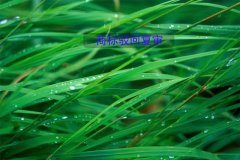 商标驳回复审需要企业提交哪些材料?
