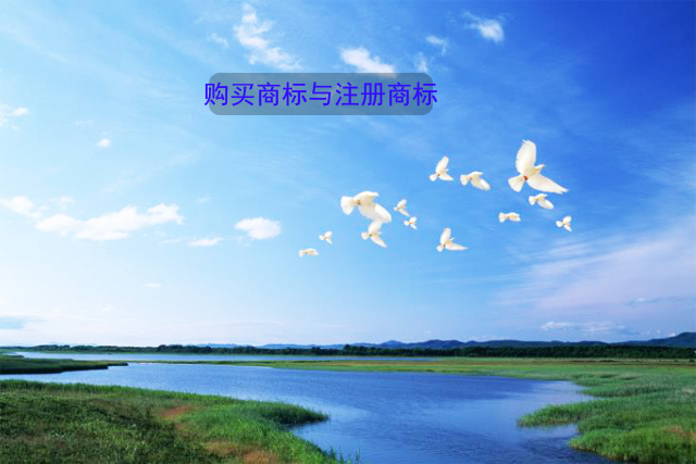 企业购买商标和注册商标的优势在哪?