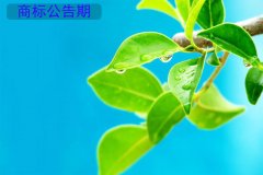 商标公告期是多久?