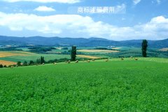 注册logo商标注册需要缴纳的官费是多少?