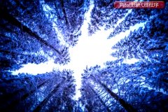 商标注册代理程序是怎样的?