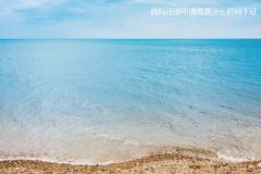 商标注册申请需要多长时间下证?