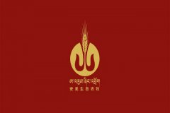 商标注册公司申请,申请商标需要的材料