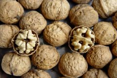 怎样申请商标?小白申请商标注册有什么技巧?