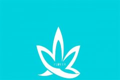 公司名称是注销后的国企，我注册了公司这样算商标侵权吗?