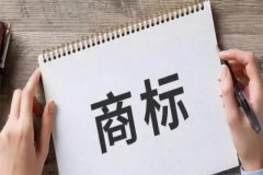 在整个商标异议审理流程中，有哪些注意事项?