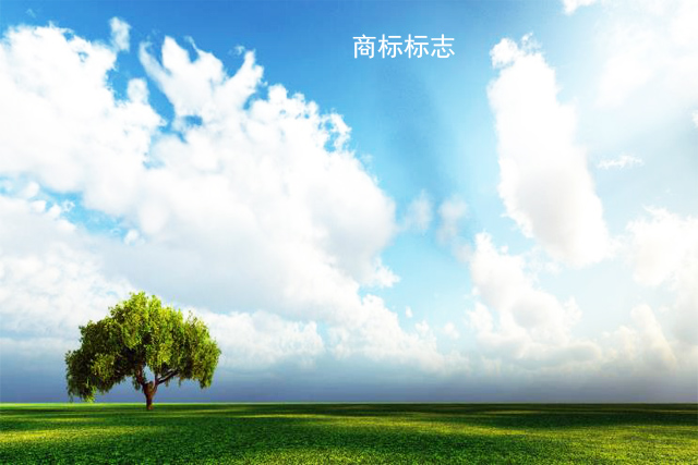 商标R和TM